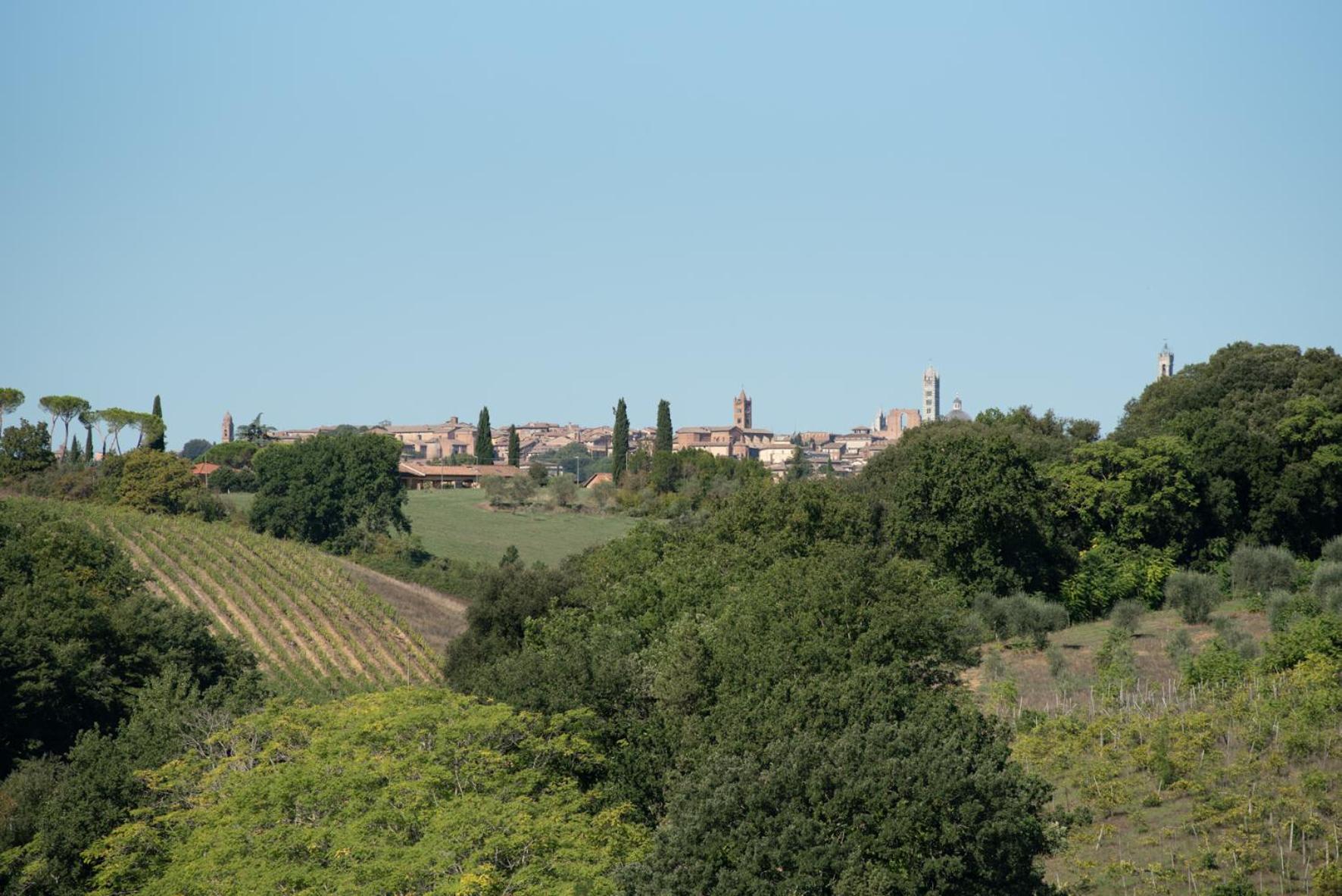 Agriturismo Il Colle Siena Exterior foto