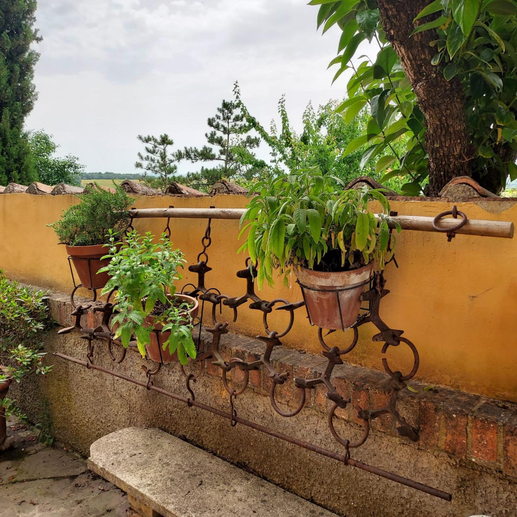 Agriturismo Il Colle Siena Exterior foto