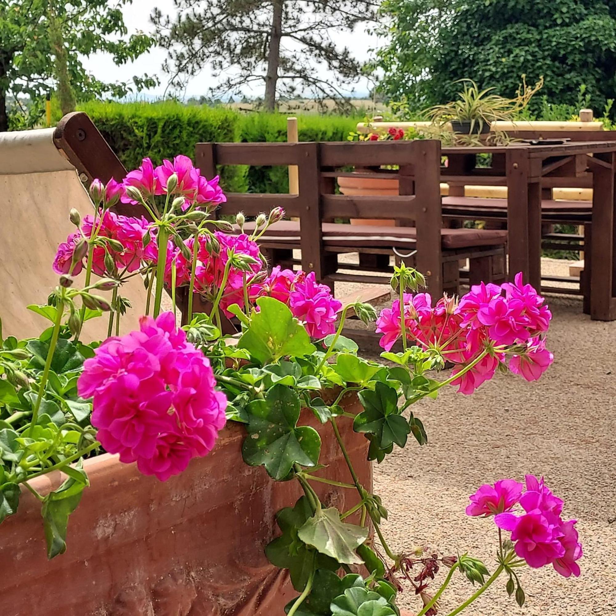 Agriturismo Il Colle Siena Exterior foto