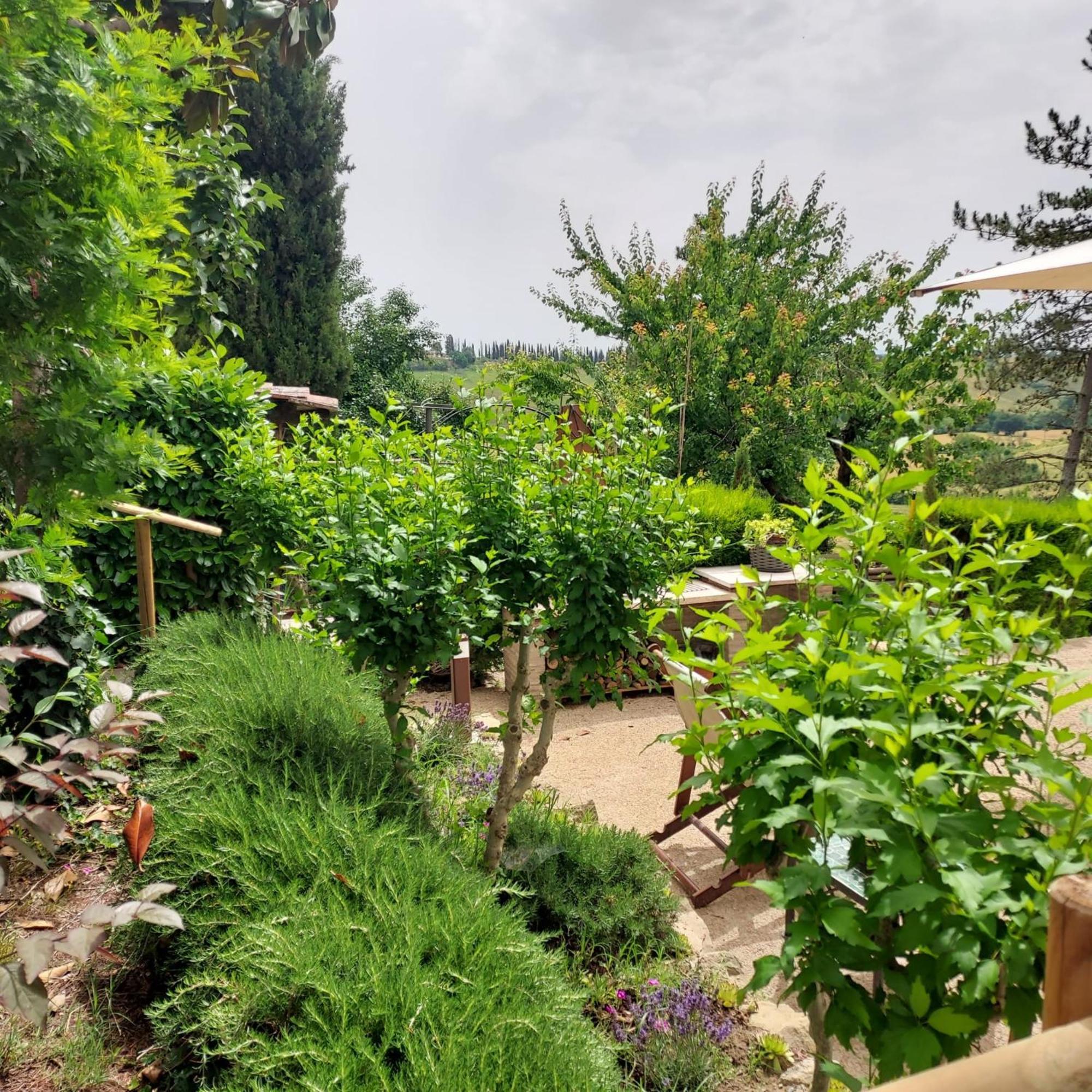 Agriturismo Il Colle Siena Exterior foto