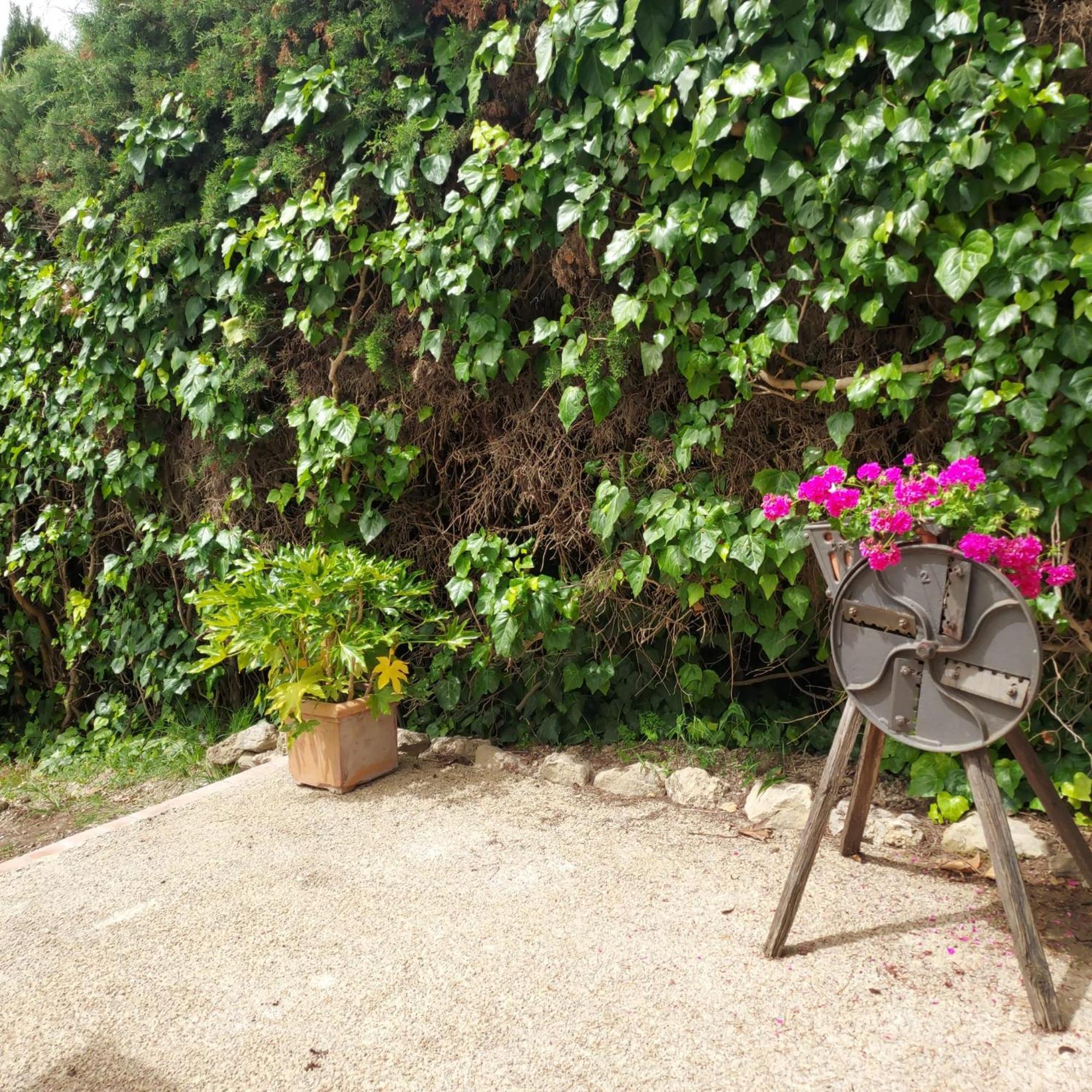 Agriturismo Il Colle Siena Exterior foto