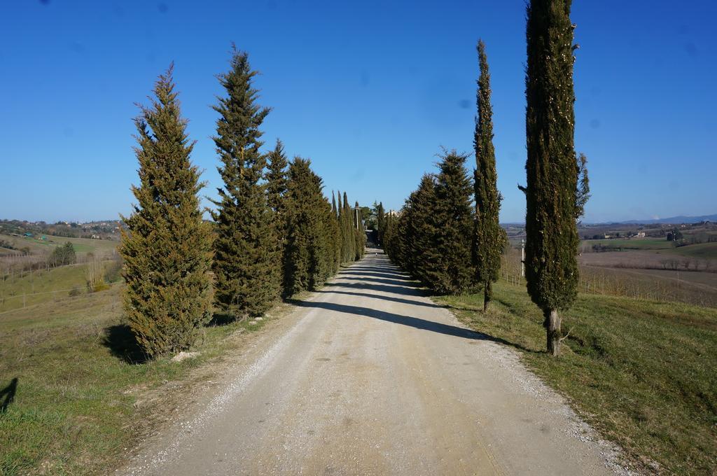 Agriturismo Il Colle Siena Exterior foto