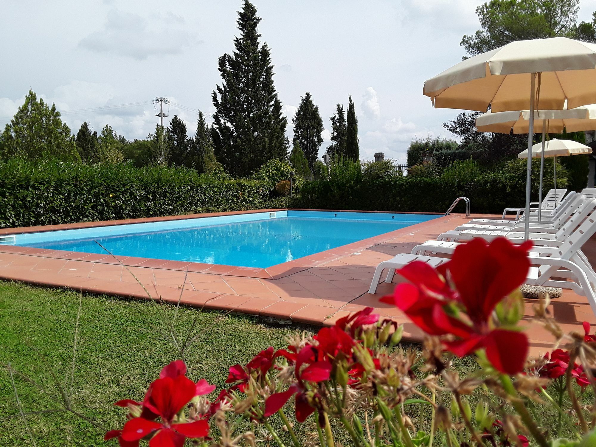Agriturismo Il Colle Siena Exterior foto